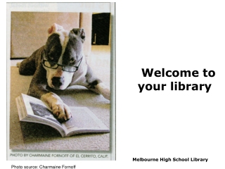 Welcome to your library