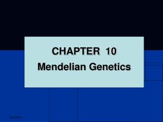 CHAPTER 10 Mendelian Genetics