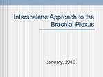 Interscalene Approach to the Brachial Plexus