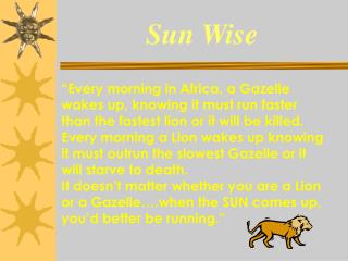 Sun Wise