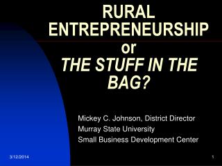 RURAL ENTREPRENEURSHIP or THE STUFF IN THE BAG?