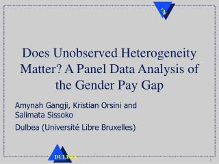 Does Unobserved Heterogeneity Matter? A Panel Data Analysis of the Gender Pay Gap