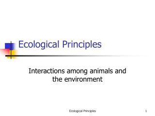 Ecological Principles