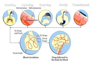 Inhaling Injecting Snorting Orally Transdermal