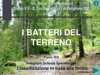 I BATTERI DEL TERRENO Piano ISS Insegnare Scienze Sperimentali