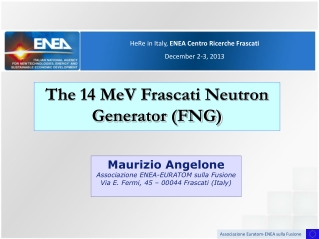 The 14 MeV Frascati Neutron Generator (FNG)