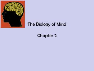 The Biology of Mind Chapter 2
