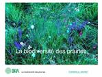 La biodiversit des prairies