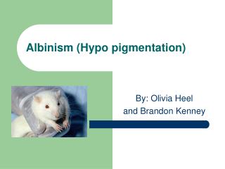 Albinism (Hypo pigmentation)
