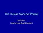 The Human Genome Project