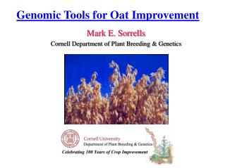 Genomic Tools for Oat Improvement