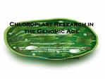 Chloroplast Research in the Genomic Age Presented by: Andrew Brian Raupp