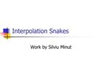 Interpolation Snakes