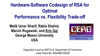 Hardware-Software Codesign of RSA for Optimal Performance vs. Flexibility Trade-off