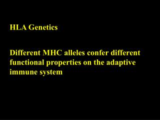 Different MHC alleles confer different functional properties on the adaptive immune system