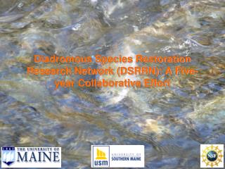 Diadromous Species Restoration Research Network (DSRRN): A Five-year Collaborative Effort