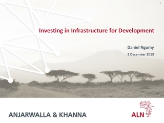 Investing in Infrastructure for Development
