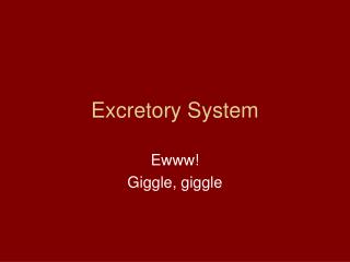 Excretory System