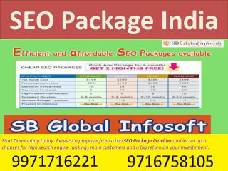 SEO Package Provider India
