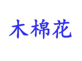 木棉花
