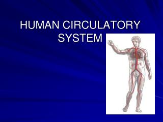 PPT - HUMAN CIRCULATORY SYSTEM PowerPoint Presentation, Free Download ...