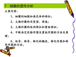 7 细菌的遗传分析