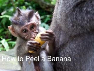 How To Peel a Banana