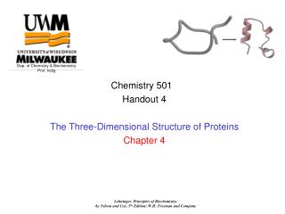 Chemistry 501 Handout 4 The Three-Dimensional Structure of Proteins Chapter 4