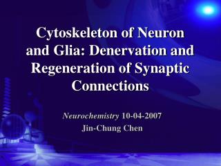 Cytoskeleton of Neuron and Glia: Denervation and Regeneration of Synaptic Connections