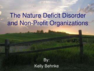 The Nature Deficit Disorder and Non-Profit Organizations
