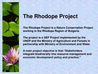 The Rhodope Project The Rhodope Project is a Nature Conservation Project working in the Rhodope Region of Bulgaria.