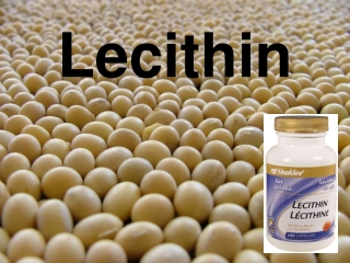 Lecithin