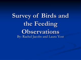 Survey of Birds and the Feeding Observations