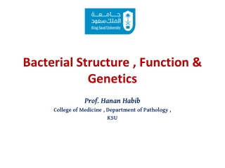 Bacterial Structure , Function &amp; Genetics