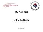 MAGM 262
