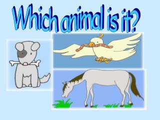 Which animal is it?