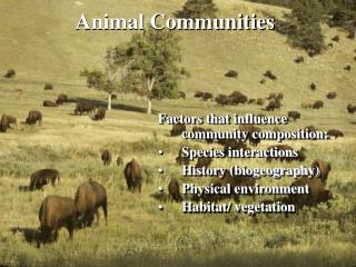 Animal Communities