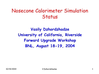 Nosecone Calorimeter Simulation Status