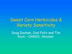 Sweet Corn Herbicides Variety Sensitivity