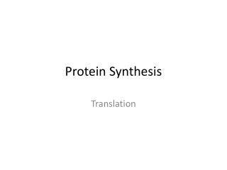 Protein Synthesis