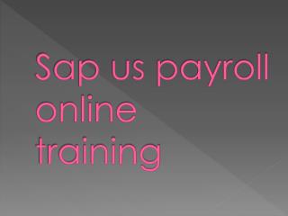 sap us payroll online training in delhi,pune,bangalore