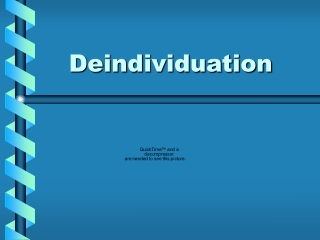 Deindividuation