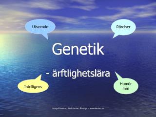 Genetik