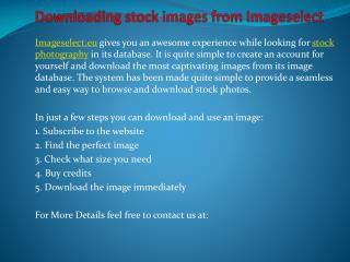 Downloading stock images from Imageselect