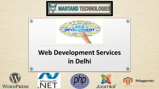 Web development company in Delhi staffing perfect business