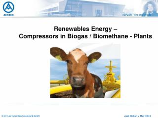 Renewables Energy – Compressors in Biogas / Biomethane - Plants