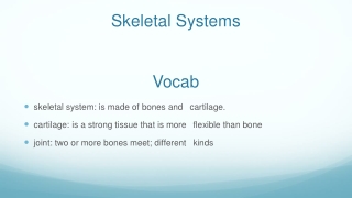 Skeletal Systems Vocab