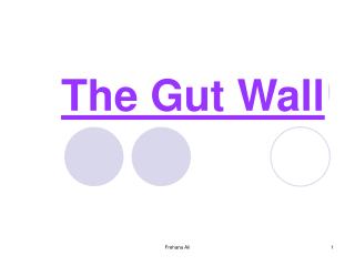 The Gut Wall