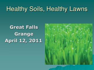 Healthy Soils, Healthy Lawns