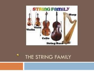 PPT - The String Family PowerPoint Presentation, free download - ID:3598892